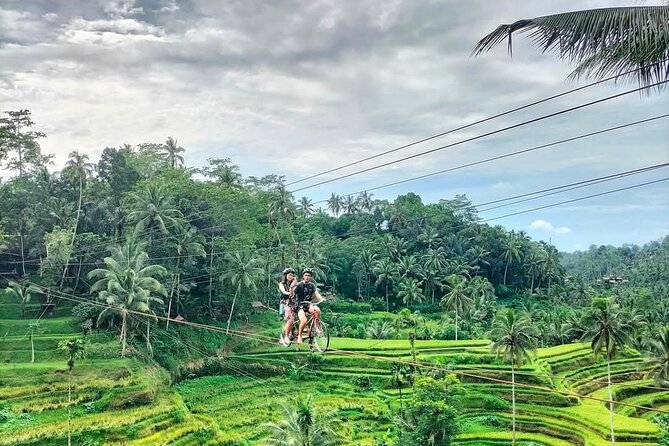 Ubud Half Day Skybike and Zipline Rice Terrace Tour - Coffee and tea tasting in Tampaksiring