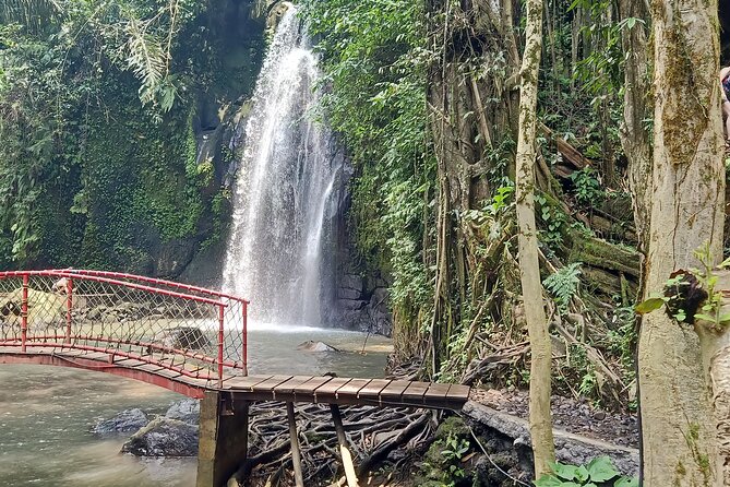 Ubud Half Day Skybike and Zipline Rice Terrace Tour - Is $78 a fair price?