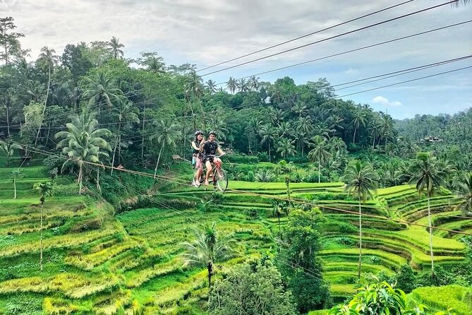 Ubud Half Day Skybike and Zipline Rice Terrace Tour - Who should book this experience?