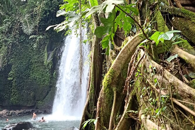 Ubud Half Day Zipline and Jungle Swing - What the private format changes