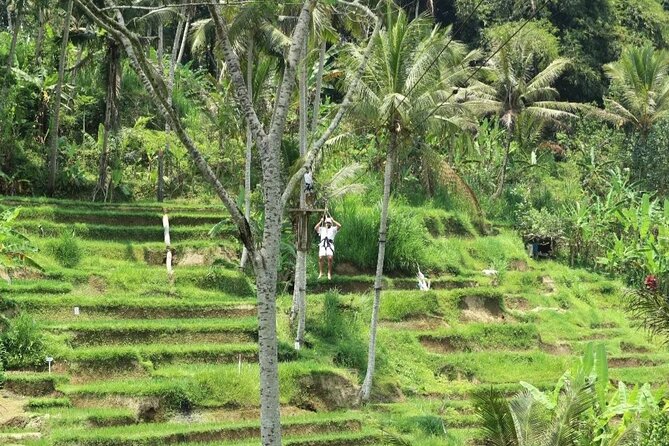 Ubud Half Day Zipline and Jungle Swing - Who will enjoy this six-hour outing
