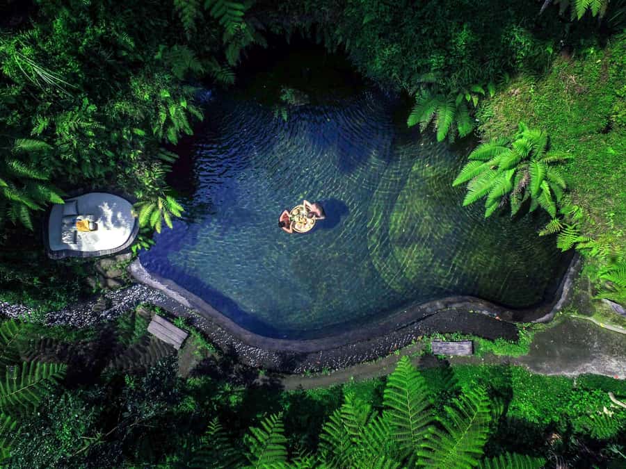Ubud: Half-Day Zipline and Jungle Swing Adventure - Key points at a glance