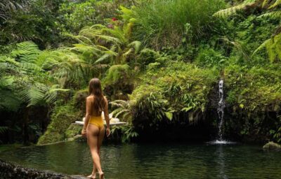 Half-Day Zipline and Jungle Swing Adventure