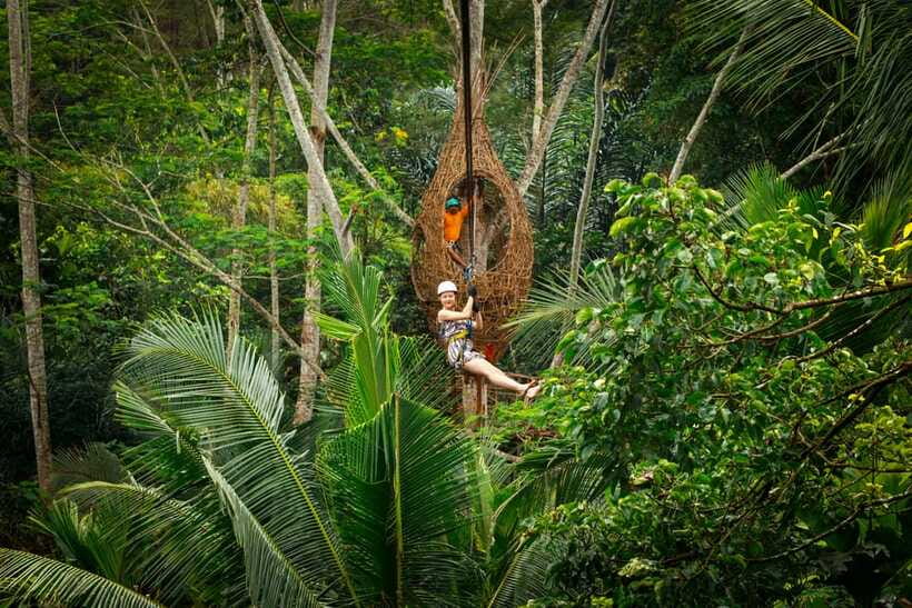 Ubud: Half-Day Zipline and Jungle Swing Adventure - The coffee and herbal drink tasting