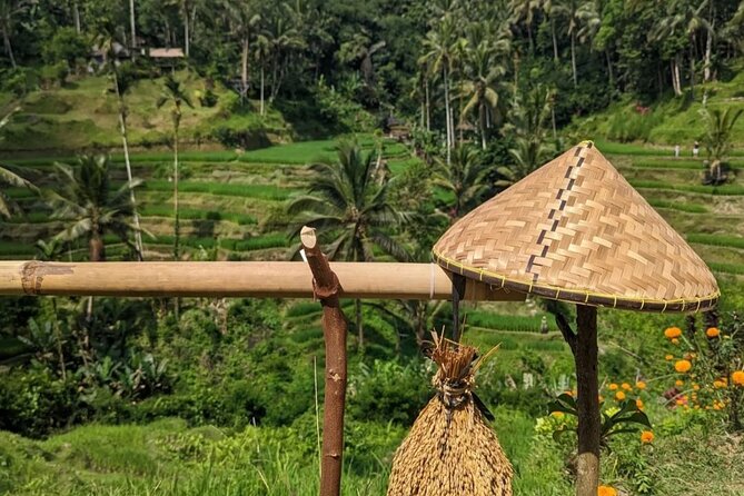 Ubud Half Day Zipline and Jungle Swing - The 13-meter jungle swing and photo stops