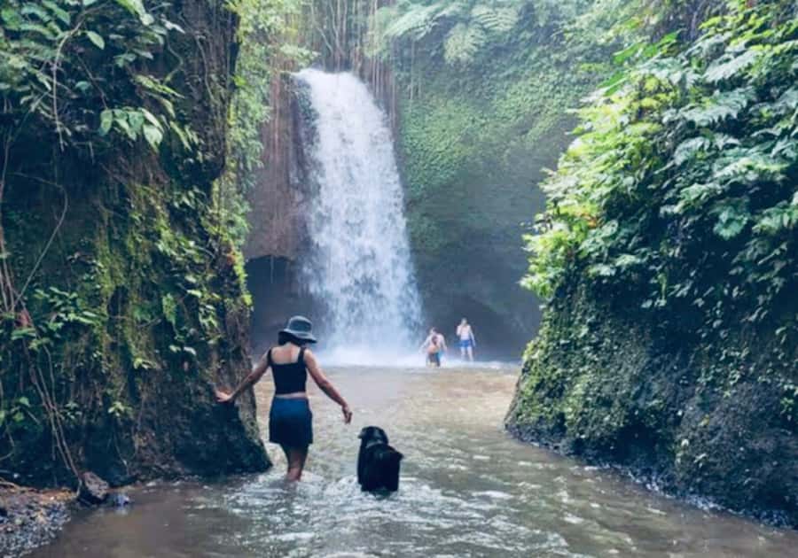 Ubud: Horse Riding, Zip-Line Tour & Waterfall Tour - The waterfall stop: cool water and a short jungle walk