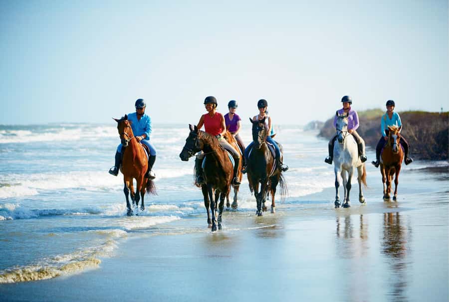 Ubud: Horse Riding, Zip-Line Tour & Waterfall Tour - Transport, timing, and the real length of the day