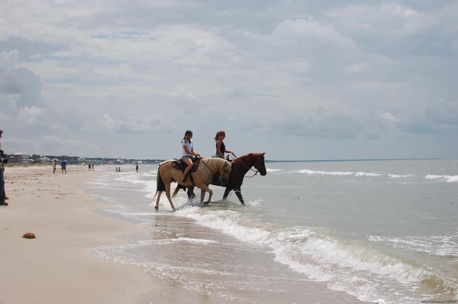 Ubud: Horse Riding, Zip-Line Tour & Waterfall Tour - Is $44 a fair price?