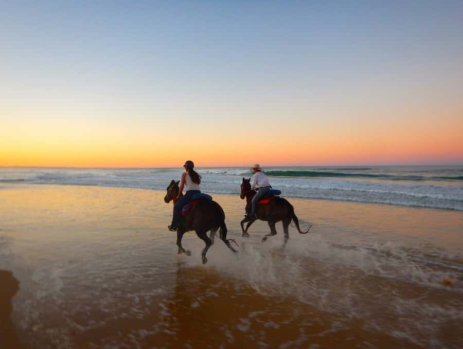 Ubud: Horse Riding, Zip-Line Tour & Waterfall Tour - Saba Bay: a beach ride with a Bali backdrop