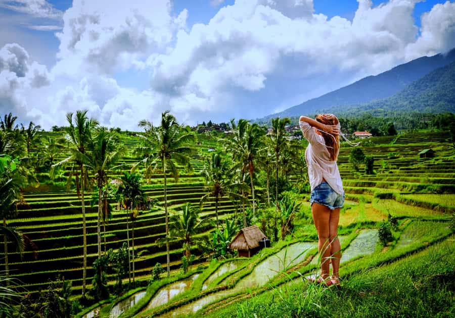 Ubud: Zip-line Adventure, River Rafting & Rice Terraces Tour - Guides, drivers, and the human side of the day