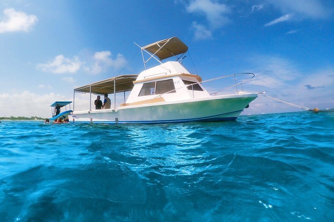 Ultimate 5x1 Combo with ATV, Ziplines, Cenote & Reef Snorkeling - Puerto Morelos Reef starts the day