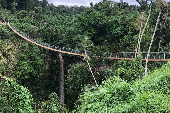 Vanuatu Jungle Zipline, Swing and Skybridge Combo with Transfer - The canyon swing: the biggest rush and the hardest walk
