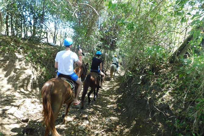 VIP DayPass: ATV, ZipLine, Horse Riding / Shore Excursion & Hotel - Pool time, gardens, and rescued animals