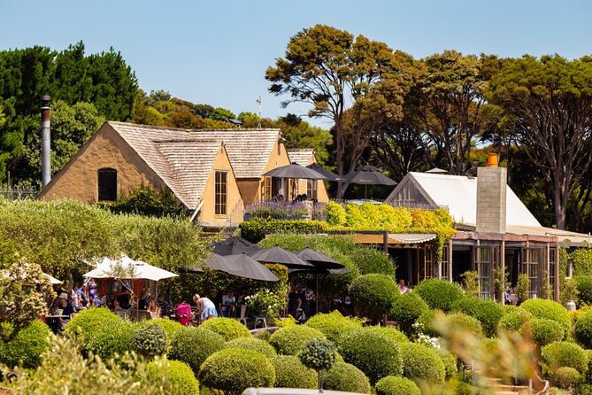 Waiheke Island Day Tour: Ziplining, Wine Tasting & Vineyard Lunch - Getting from Auckland to the island