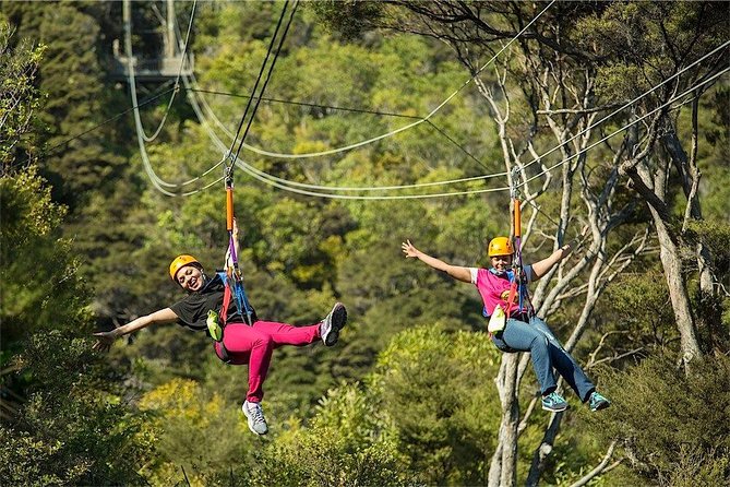 Waiheke Island: Zipline And Forest Walk - Three Flights That Build Your Confidence
