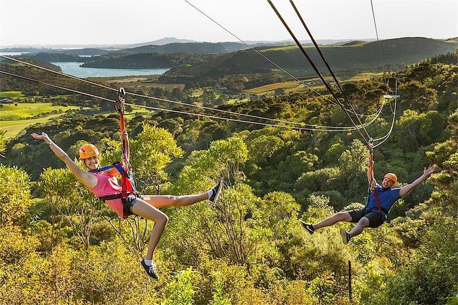 Waiheke Island: Zipline And Forest Walk - Timing, Group Size, and the Ferry Question