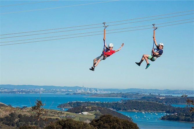 Waiheke Island: Zipline And Forest Walk - Is Three Ziplines Enough for the Price?