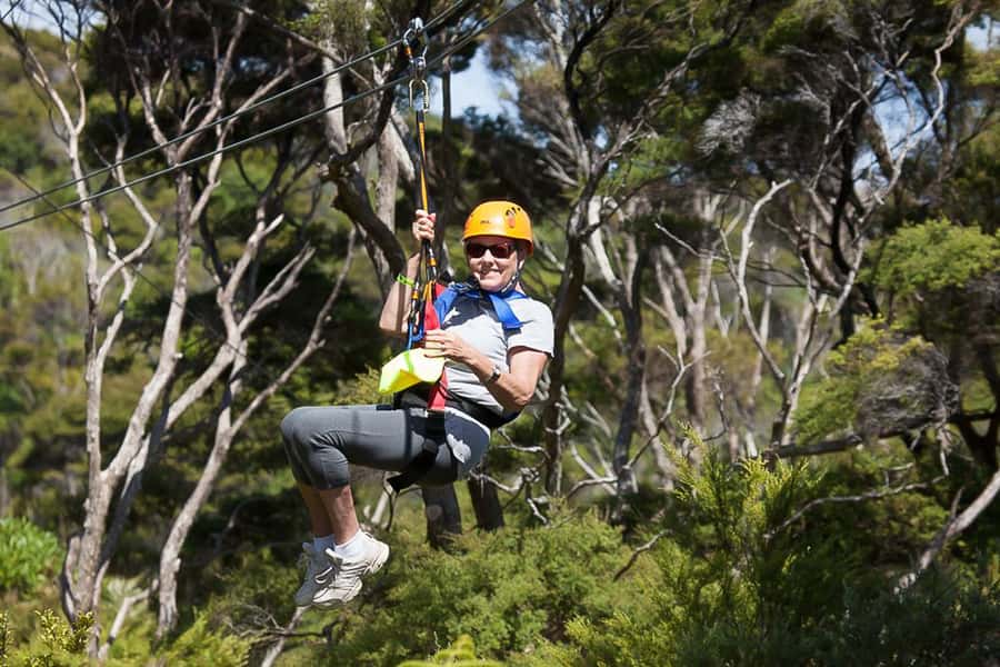 Waiheke Island: Zipline and Native Forest Adventure Trip - My call: book it for the full Waiheke package