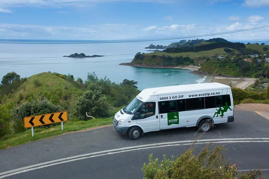 Waiheke Island: Zipline and Native Forest Adventure Trip - From Auckland ferry to Waiheke’s hilltop bush