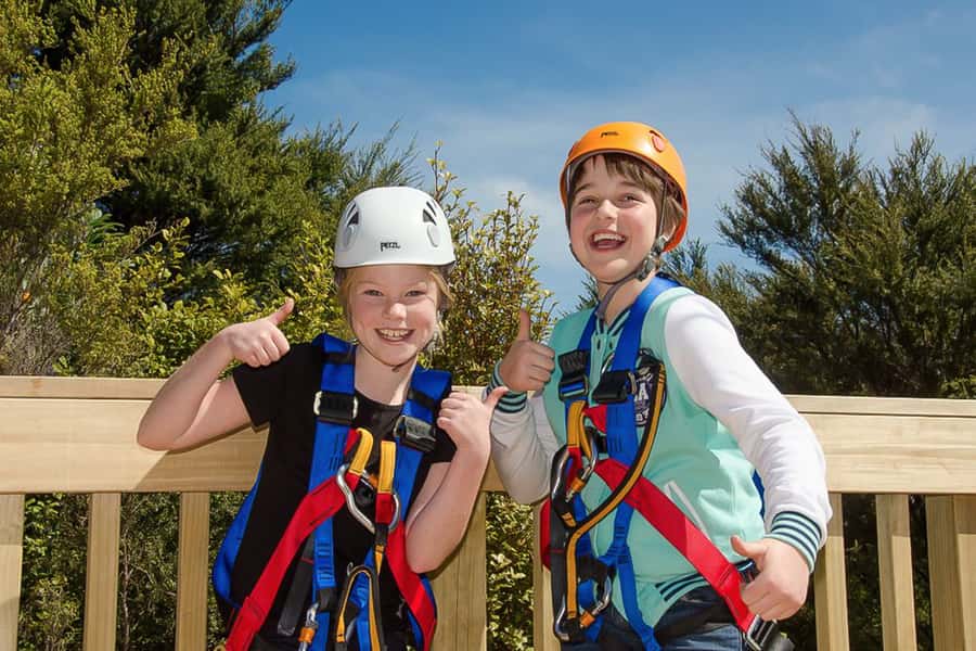 Waiheke Island: Zipline and Native Forest Adventure Trip - How much of the day is actual ziplining?