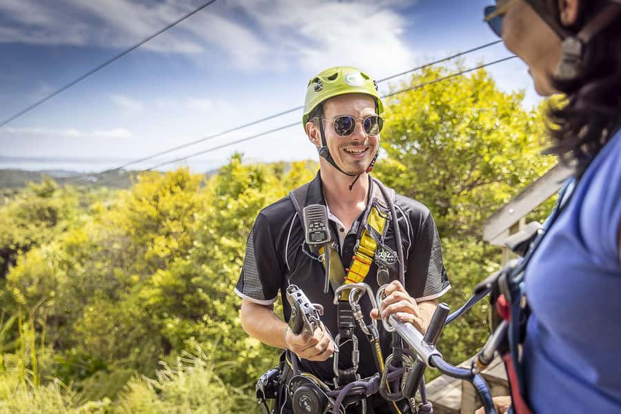 Waiheke Island: Zipline and Native Forest Adventure Trip - What the $89 price really covers