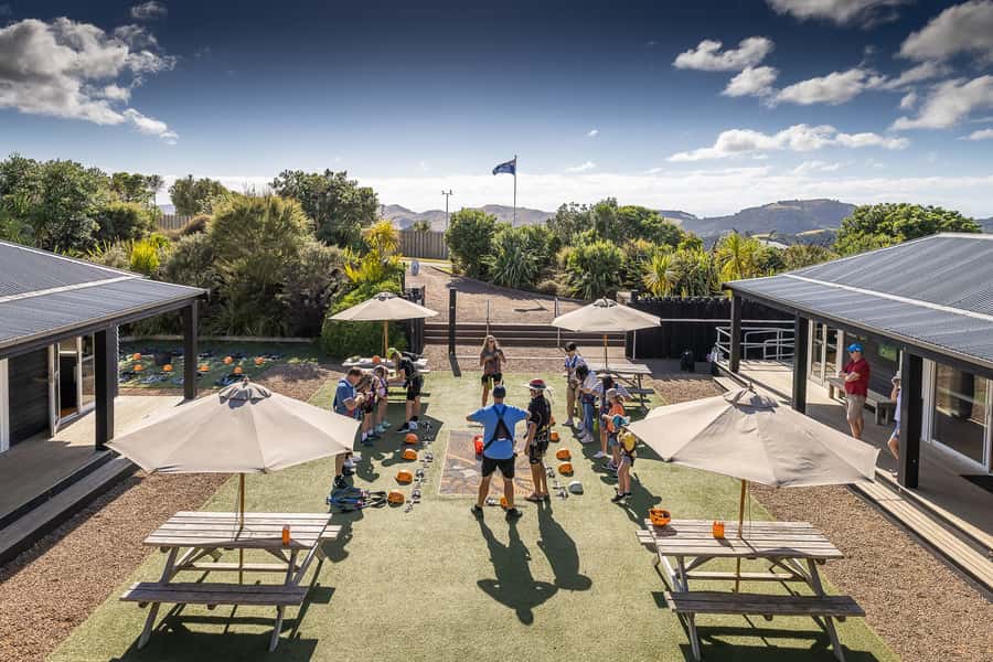 Waiheke Island: Zipline and Native Forest Adventure Trip - Who will enjoy this most?
