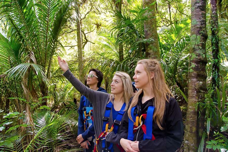 Waiheke Island: Zipline and Native Forest Adventure Trip - Practical timing, clothing, and phone advice