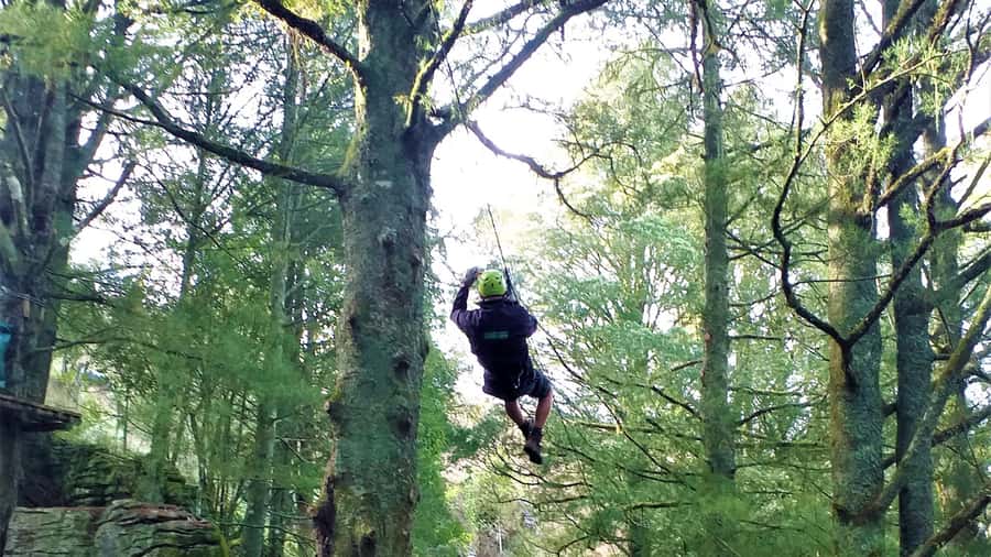 Waitomo Caves 1-Kilometer-Long Zipline Tour - Key points about the Waitomo zipline course