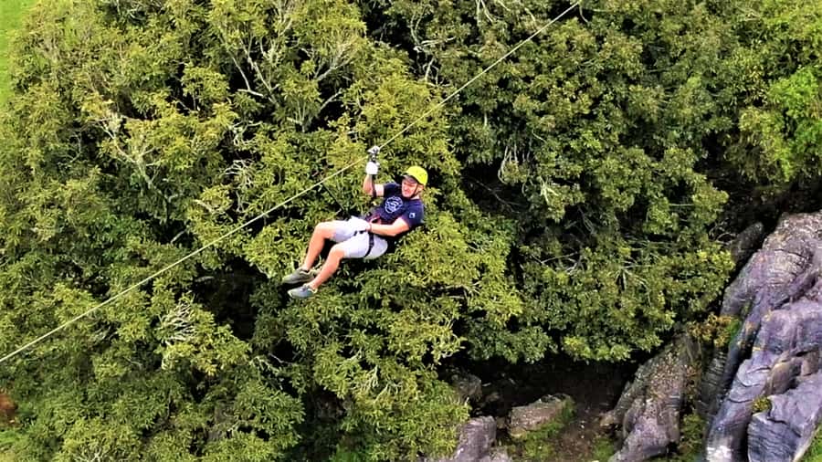 Waitomo Caves 1-Kilometer-Long Zipline Tour - Through the native trees on the first lines