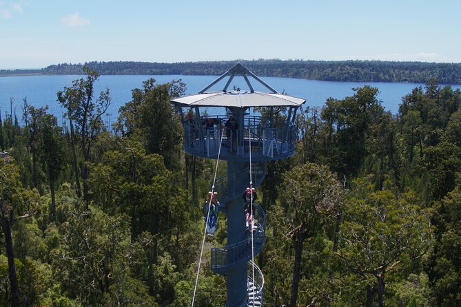 West Coast Tower Zipline & Treetop Walk Combo - Key points to know before you book