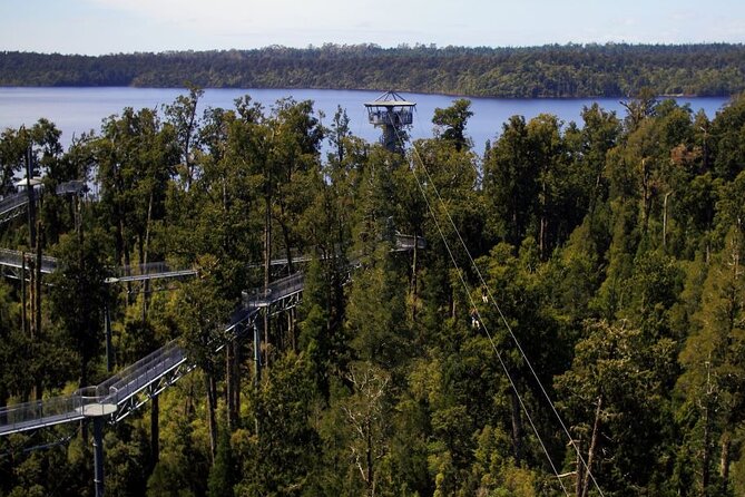 West Coast Tower Zipline & Treetop Walk Combo - Starting near Ruatapu, south of Greymouth
