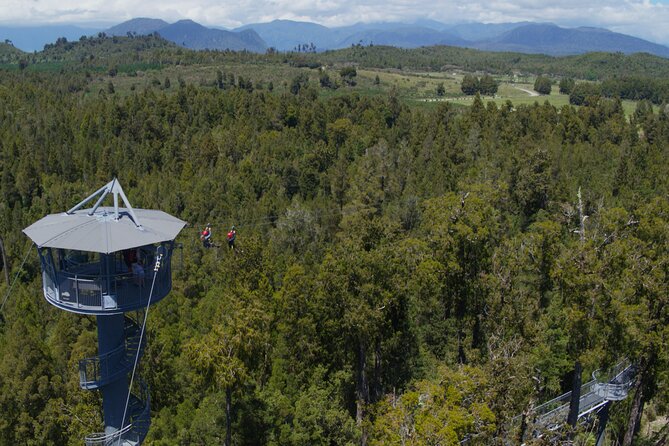 West Coast Tower Zipline & Treetop Walk Combo - The tandem zipline at 45 metres