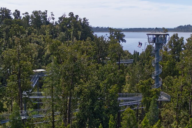 West Coast Tower Zipline & Treetop Walk Combo - What the private format changes