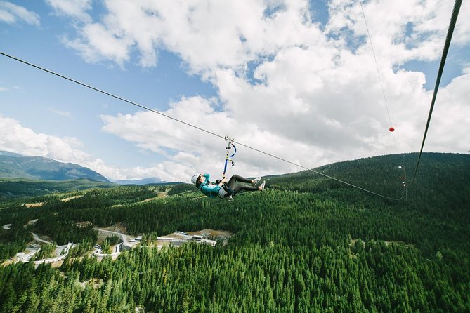Whistler Sasquatch® Zipline - Is the price of $118.28 a fair deal?