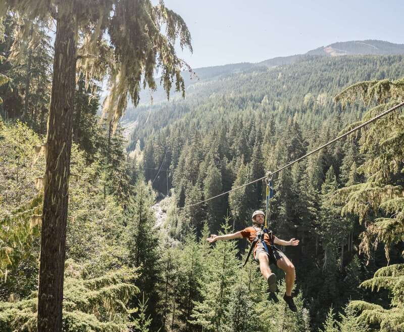 Whistler Zipline Experience: Ziptrek Bear Tour - Four Forest Ziplines Between Whistler and Blackcomb
