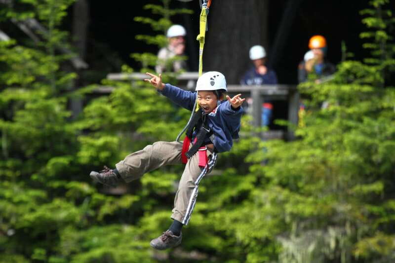 Whistler Zipline Experience: Ziptrek Bear Tour - Starting at Carleton Lodge in Whistler Village