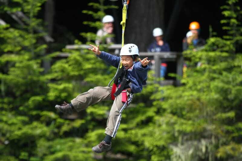 Whistler Zipline Experience: Ziptrek Bear Tour - How Much Value You Get for $115
