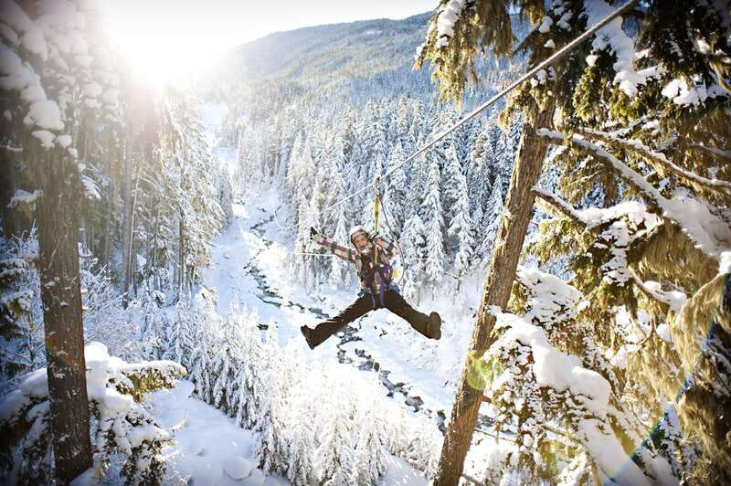Whistler Zipline Experience: Ziptrek Bear Tour - Weather, Timing, and What to Bring
