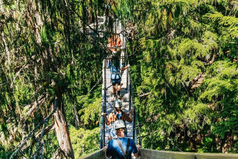 Whistler: Ziplining Experience - Winter, Summer, and Weather Planning