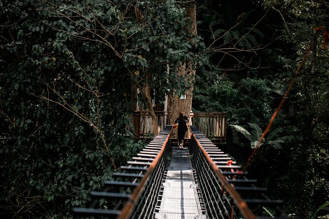 World B+ (Zipline 18 Platforms + Roller + Sky Walk with World Set Menu ) - Sky bridges and the quieter side of the forest