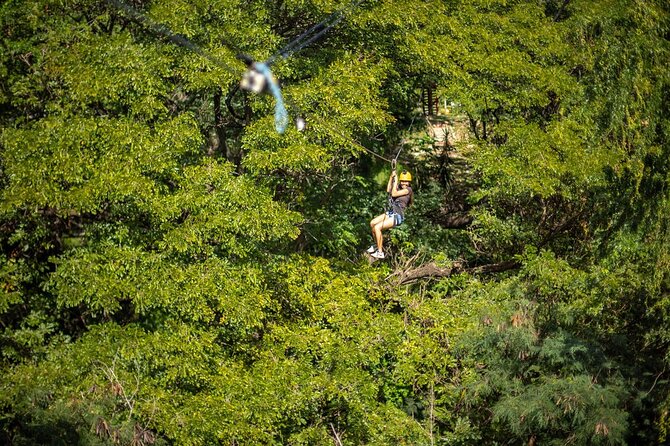 Zip & Dip: Zipline and Wet 'n' Wild Waterpark Combo - Rules you need to take seriously
