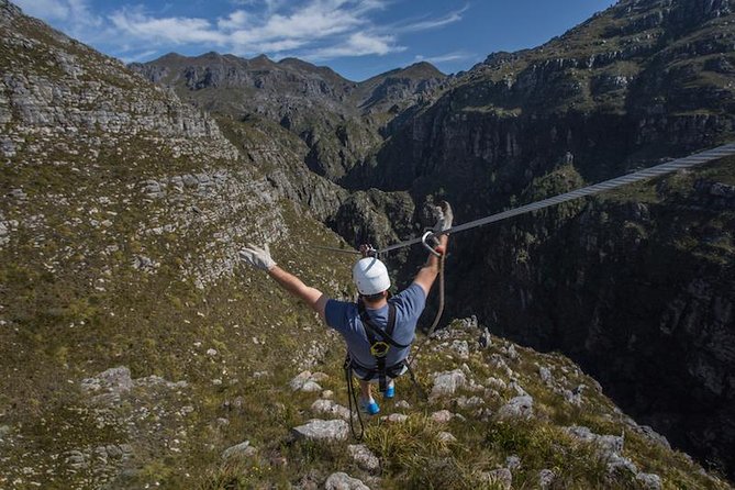Zip Line and Wine from Cape Town - Eleven cables provide the real thrill