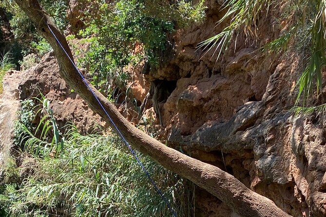 Zip Line - Back in Time Spain to Portugal Tour - Who should book this experience?