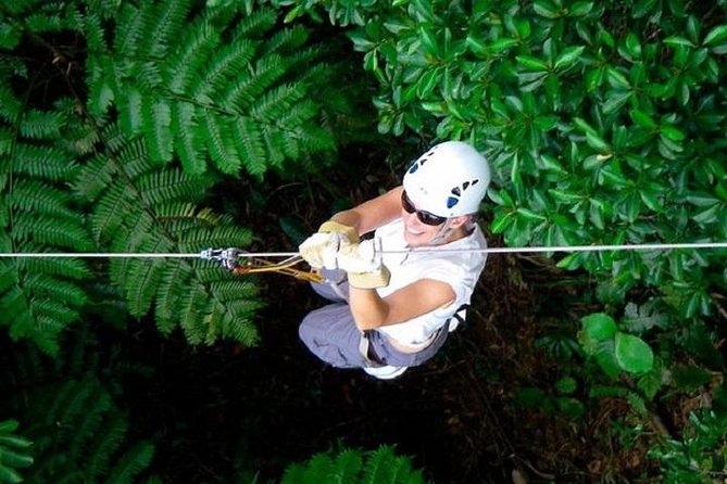 Zip line Fiji ex Fiji Marriot w/private transfer dropoff Nadi Airport or resort - From the Fiji Marriott to Tau Village near Momi