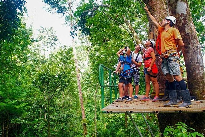 Zip Line - Half Day Adventure - Cable Mega Splash and the water landing