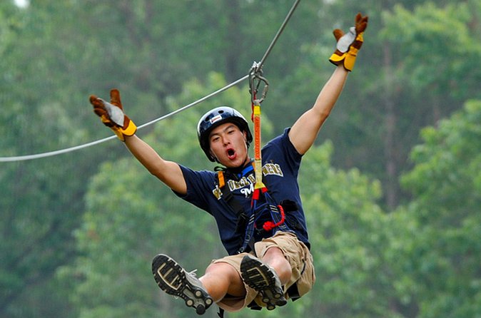 Zip Line - Half Day Trip - The forest views and the actual thrill