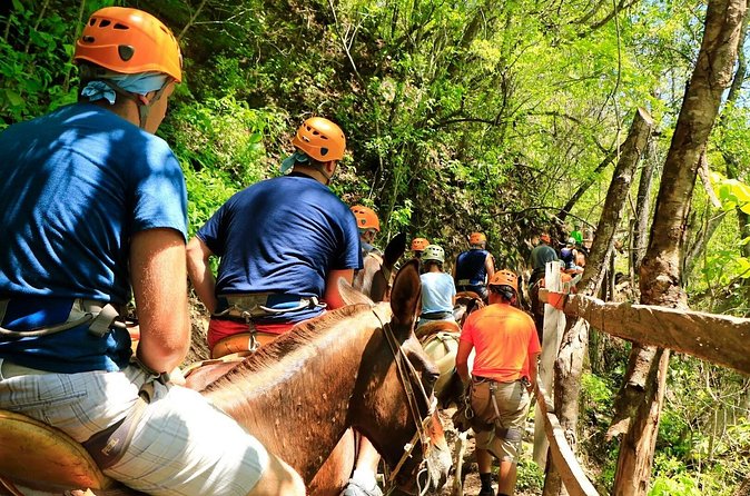 Zip Line, Mules Ride and Walk on the Hanging Bridge - Who will enjoy this Puerto Vallarta adventure?