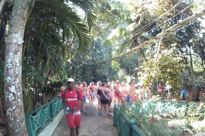 Zip Line over the Dunns River Falls - Key points to know before you book