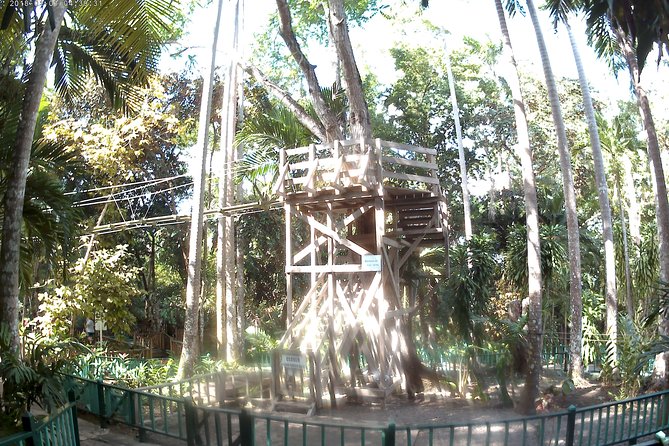 Zip Line over the Dunns River Falls - What the morning at Dunn’s River Falls looks like