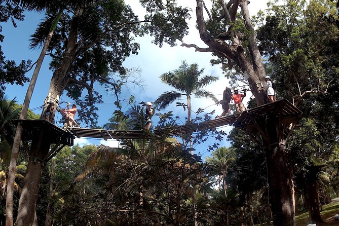 Zip Line over the Dunns River Falls - The four included zip lines